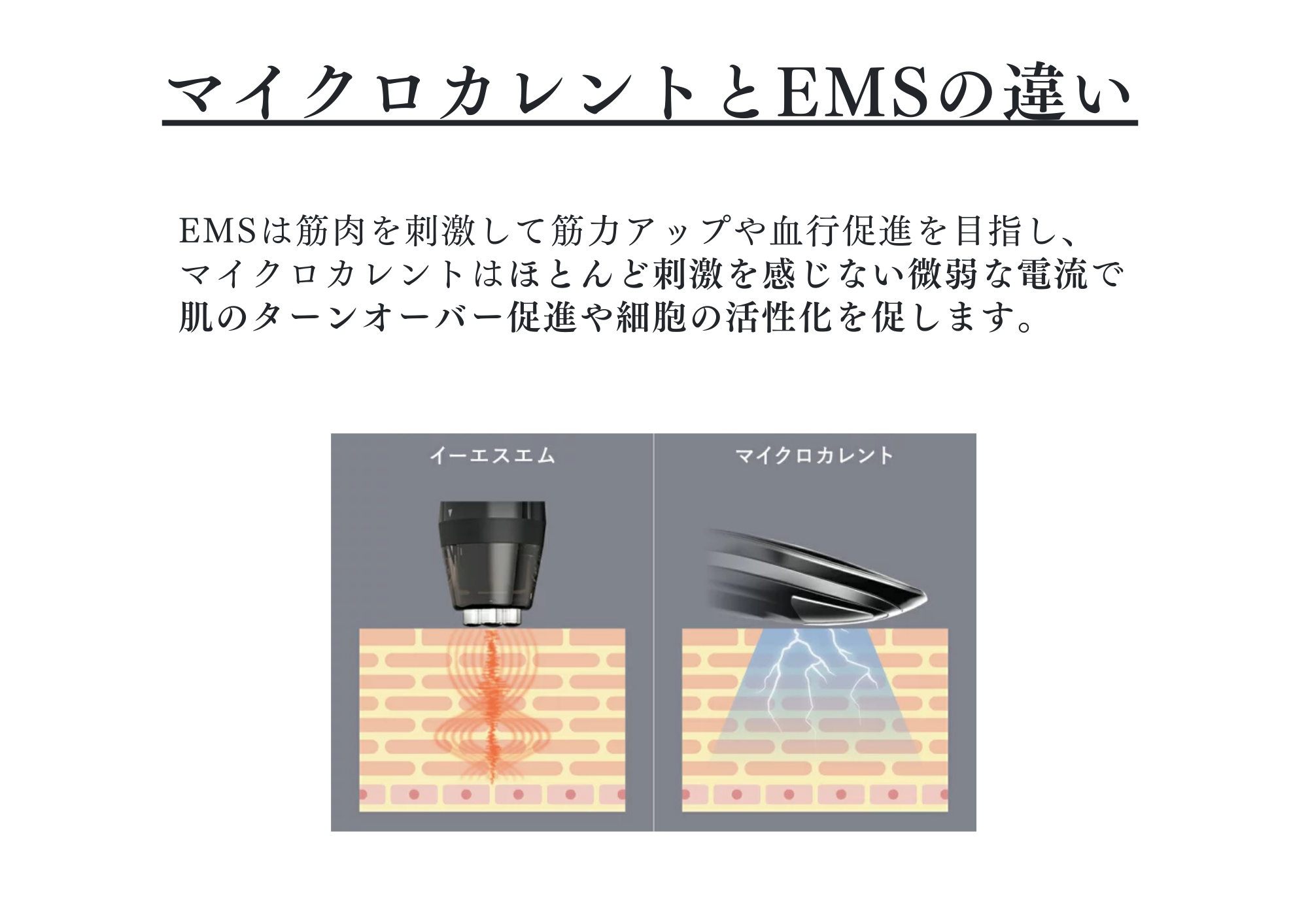 ReFa carat SPA詳細3